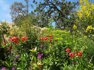 咲き誇る夏の花々