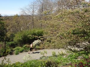 春まだ浅い3月末に庭園内を上半身裸でジョギング